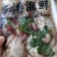 花盖蟹750克公母混装九头
