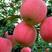 青龙满族自治县优质红富士苹果，安心健康，加关注方便联系。