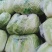 精品黄心大白菜，四至六斤，量大从优，诚信经营