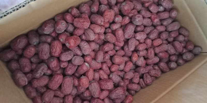 【灰枣】新疆红枣(原生态枣农户直发）坏果包赔