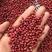 收售红小豆大中小粒加工厂种植技术指导及定单回收