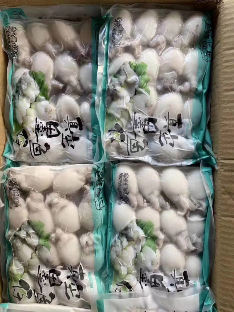 墨鱼仔，精品墨鱼仔，厂家直销，质量保证量大从优
