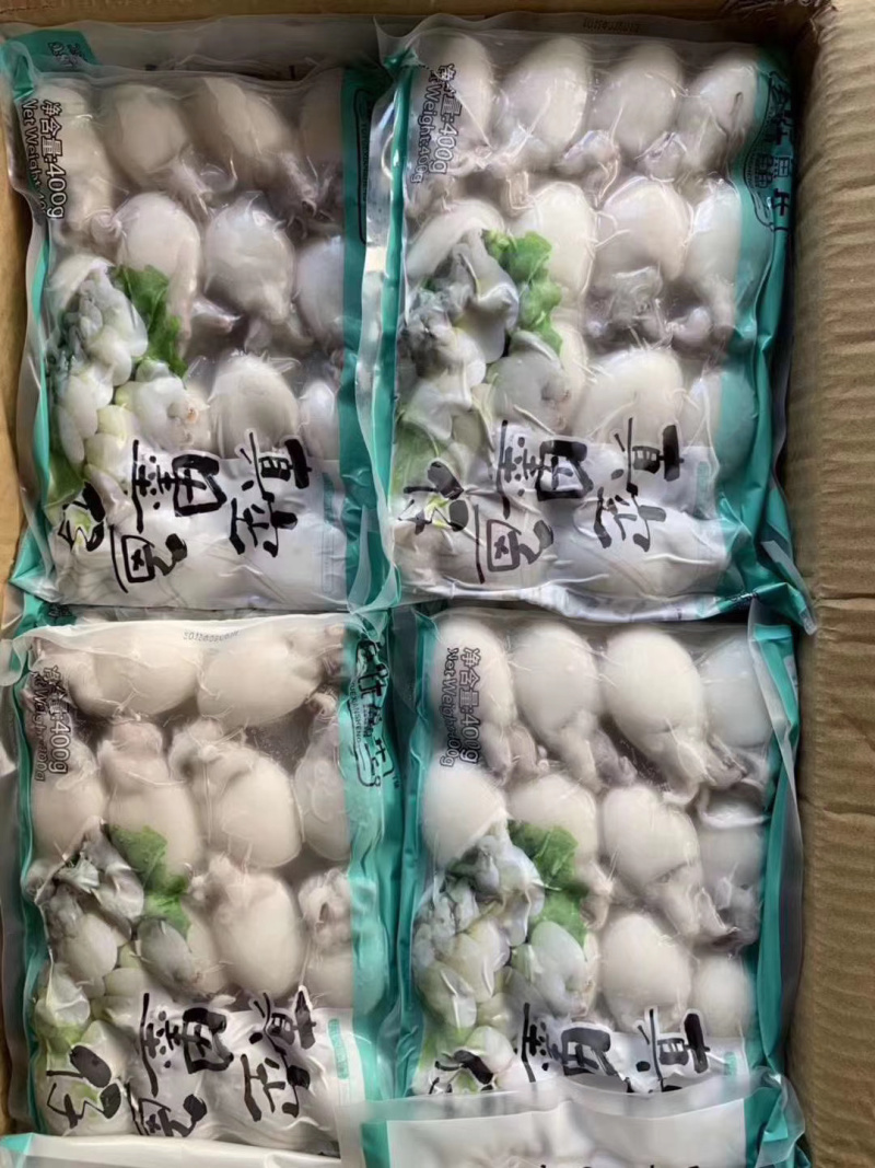 墨鱼仔，精品墨鱼仔，厂家直销，质量保证量大从优