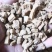 党参甘肃省无硫***1公斤起批不包邮薄片
