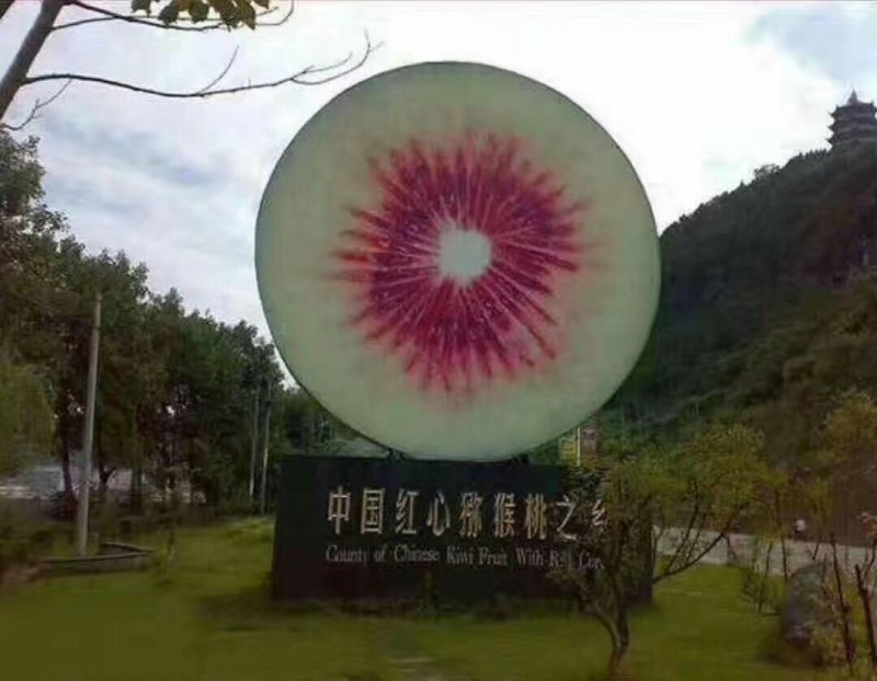 红心猕猴桃苗红阳东红黄心绿心黄金果翠玉软枣龙成2号包技术