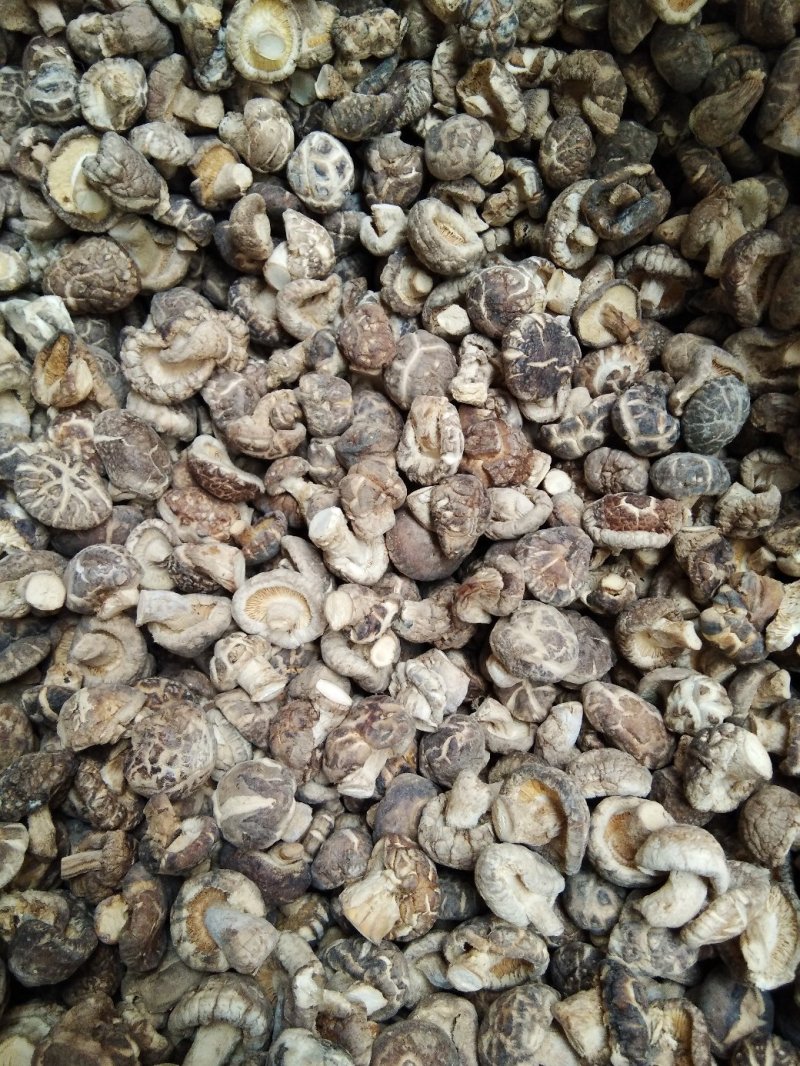 {聚便宣}抗病毒三斤批干香菇光面菇厚肉菇香菇好吃营养丰富