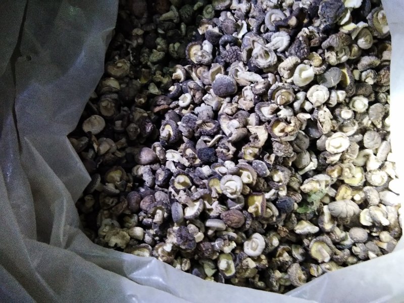 {聚便宣}抗病毒三斤批干香菇光面菇厚肉菇香菇好吃营养丰富