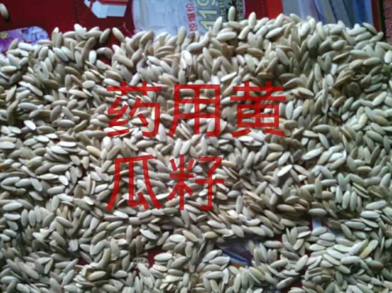 黑龙江药用黄瓜籽，水洗货并常年做定单回收