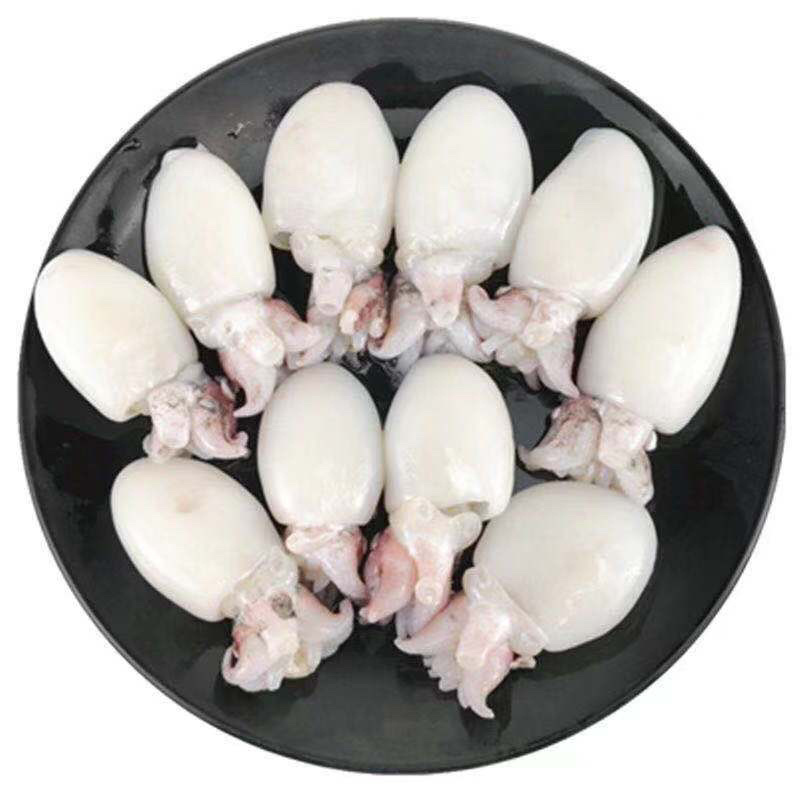 墨鱼仔，精品墨鱼仔，厂家直销，质量保证量大从优