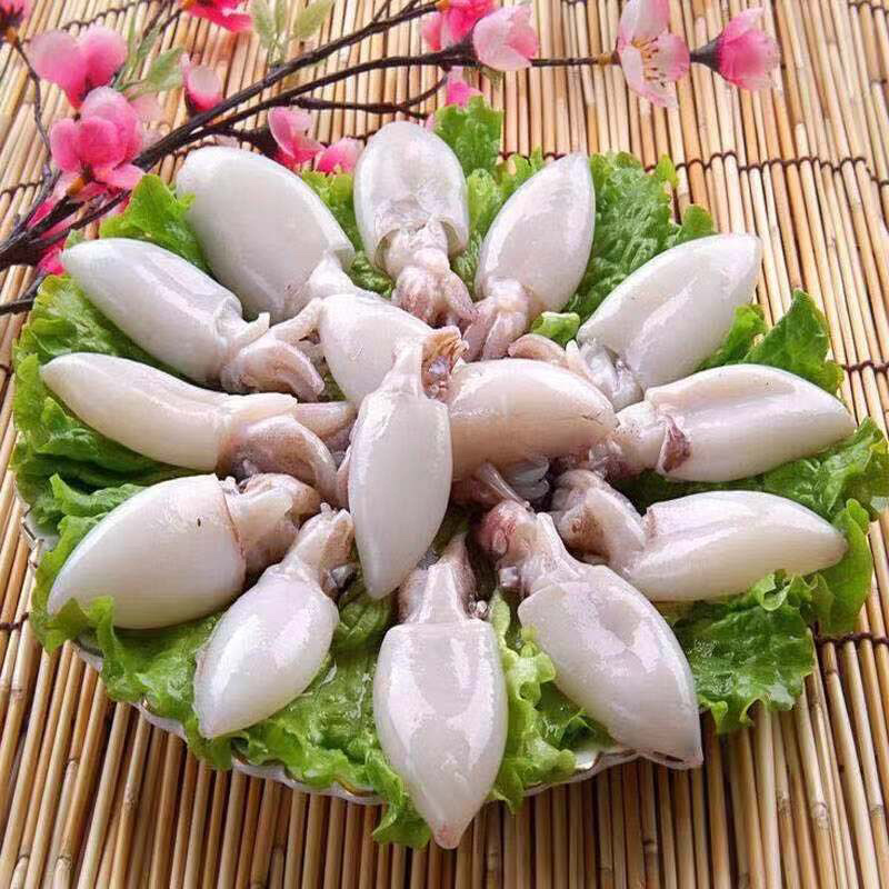 墨鱼仔，精品墨鱼仔，厂家直销，质量保证量大从优