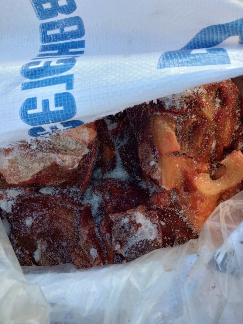 蒙古马肉五分体，肋条，后腿，前腿，脖子，腱子