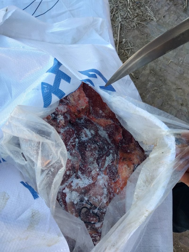 蒙古马肉五分体，肋条，后腿，前腿，脖子，腱子