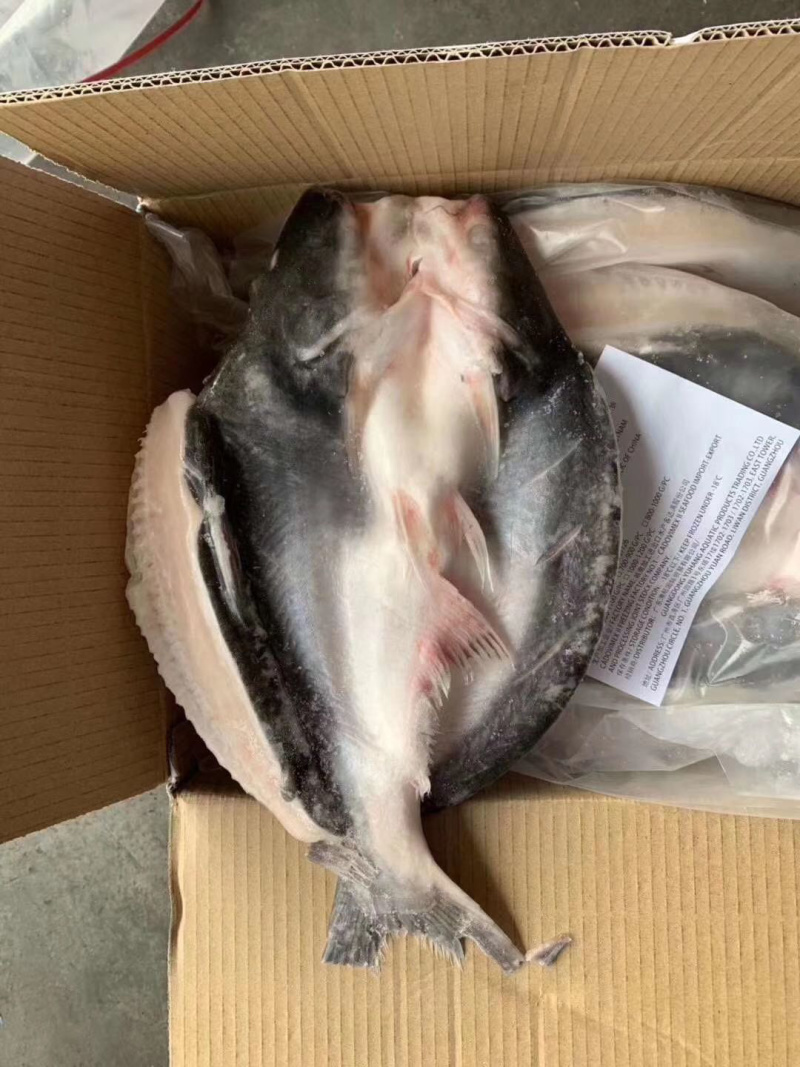 干冰开背巴沙鱼开背鱼巴沙鱼10条