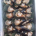 带子半边冷冻带子产地直销，量大从优160粒/箱