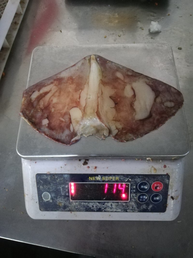 鱿鱼尾，鱿鱼耳，鱿鱼大耳，鱿鱼，原汁鱿鱼尾各种规格