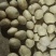 丽薯土豆产地直销支持视频看货可打冷量大优惠，欢迎选购