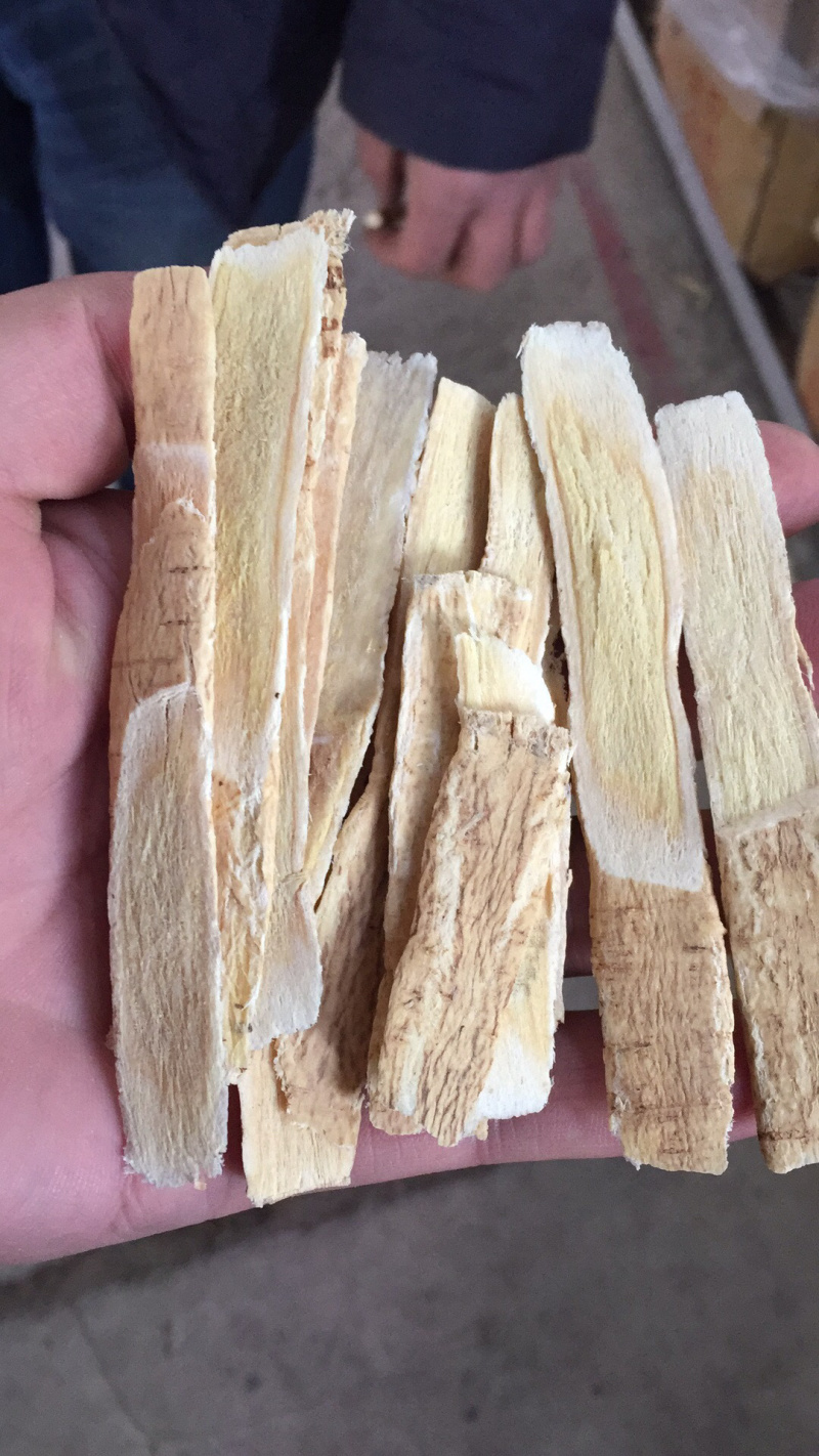 甘肃道地中药材黄芪——指甲片