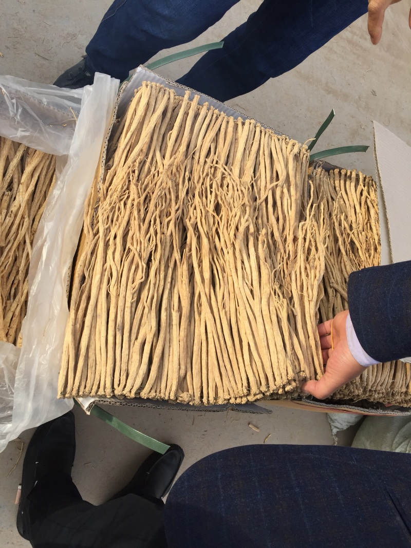 甘肃道地中药材黄芪——指甲片
