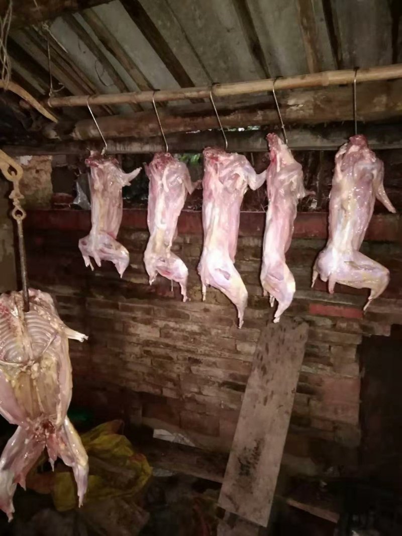 肉兔，农家自制烤兔，腊兔