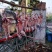 肉兔，农家自制烤兔，腊兔