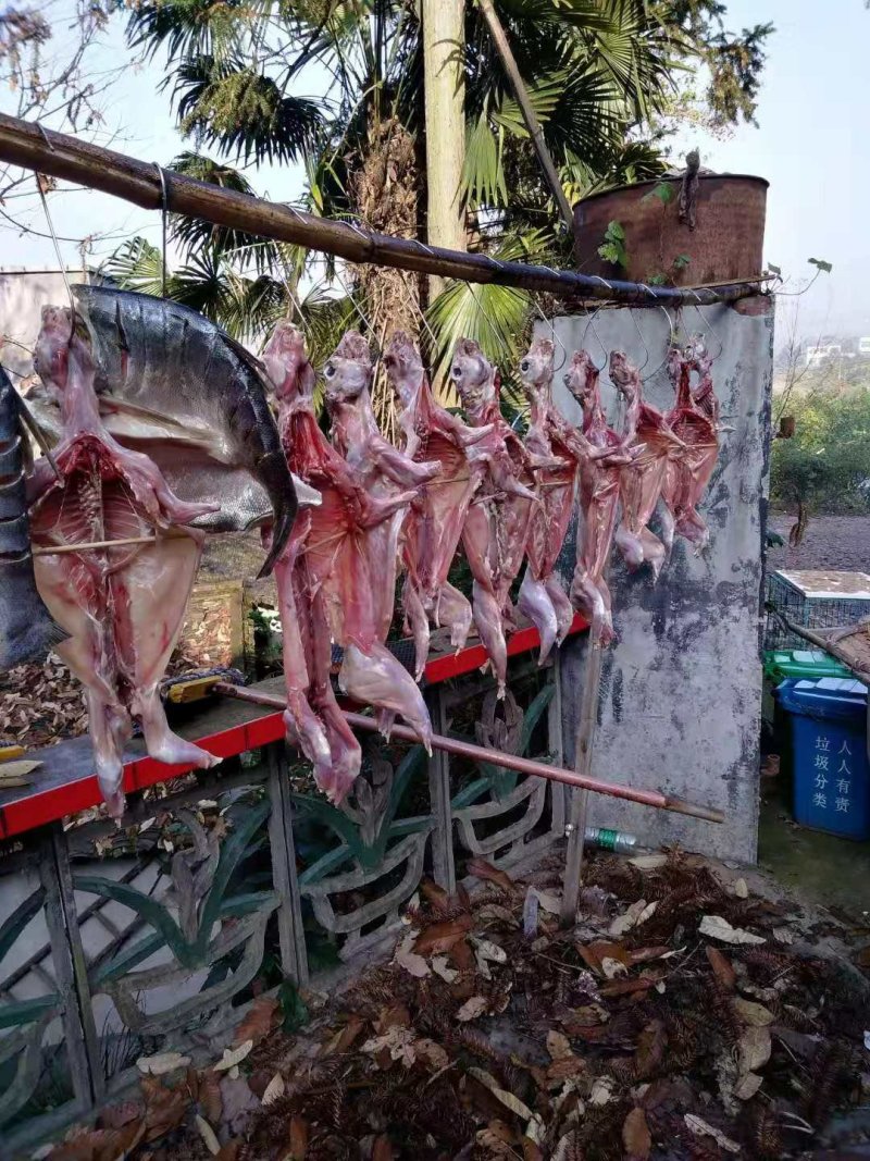 肉兔，农家自制烤兔，腊兔