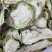 茄子干〈紫色绿色〉脱水干货～质量好