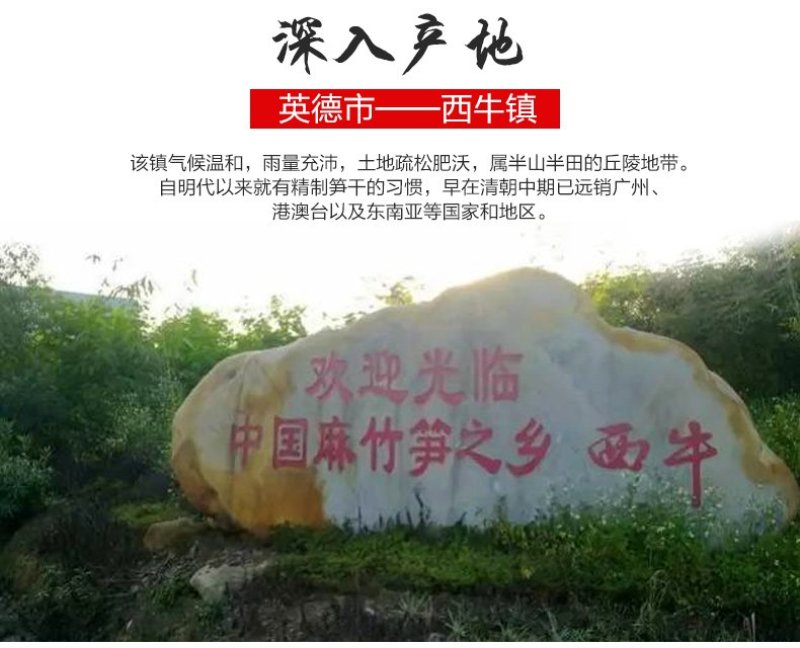 笋干回泡笋干免发泡麻竹笋