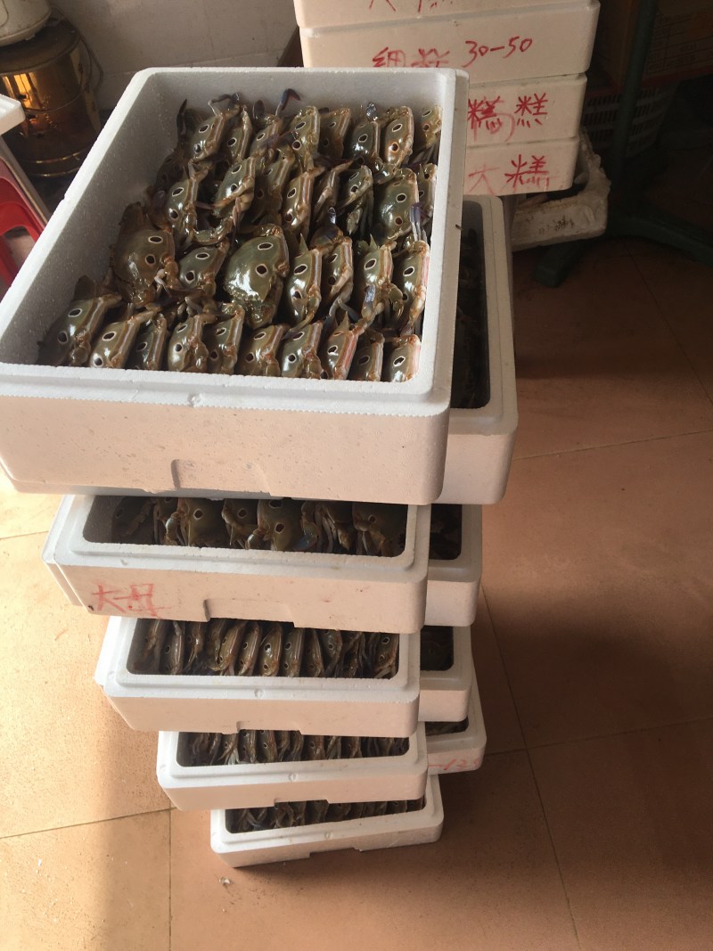 各种规格三点蟹