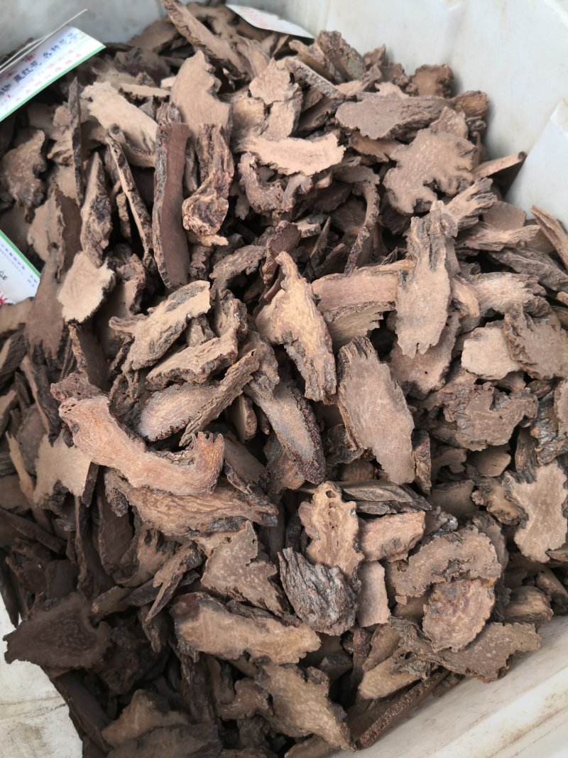 锁阳片批发优质锁阳规格齐全可供大货