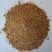 优质烘干枣粉牛羊用饲料枣粉猪用羊用家禽都可以用饲料厂家用