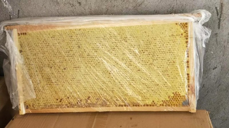 蜂巢蜜。整张新蜜脾新巢蜂蜜整张封口率好支持批发零售