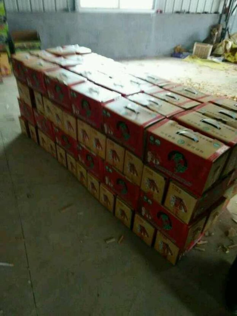 深山老农竹笋福建百益红泥笋基地自产直销