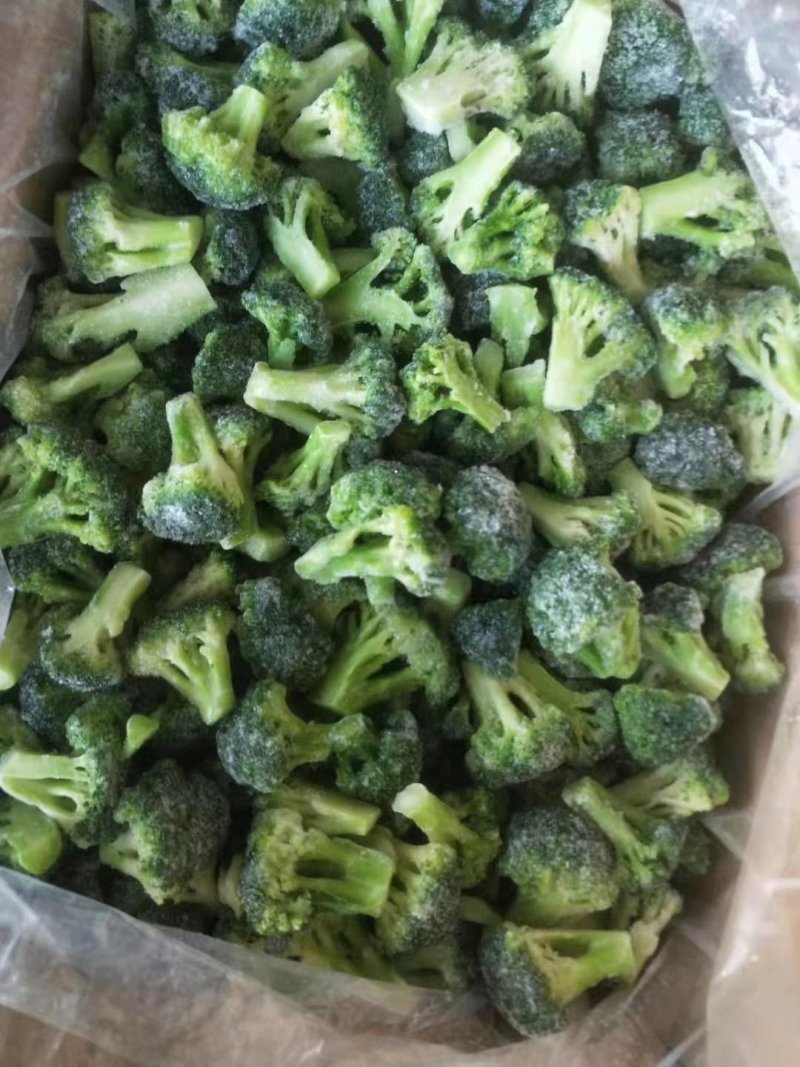 万亩大棚精品西兰花。。。。。。
