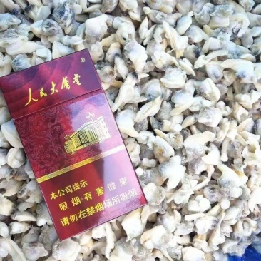 花蛤肉
