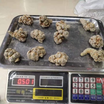 三七云南文山三七全干货三七规格齐全
