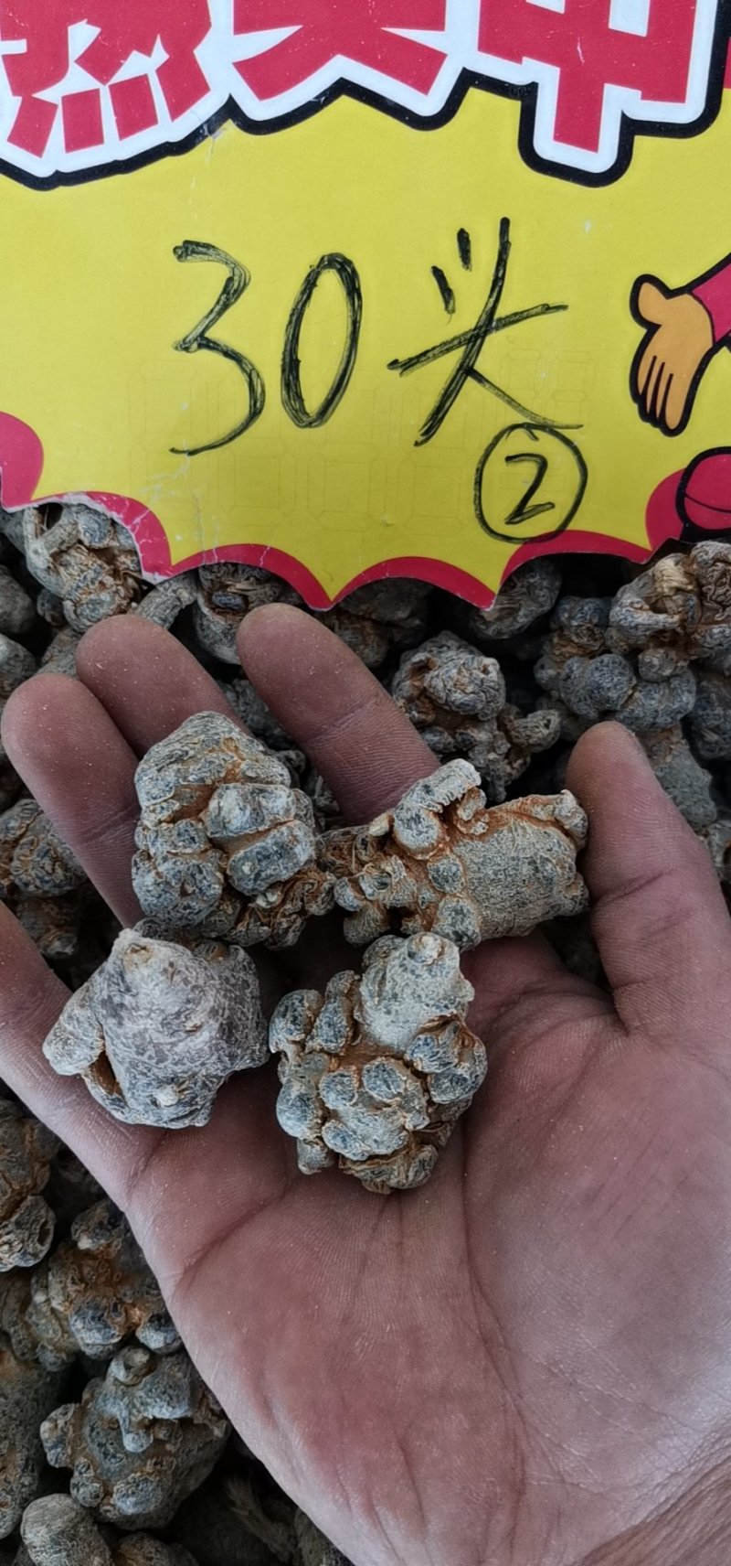 三七云南文山三七全干货三七规格齐全