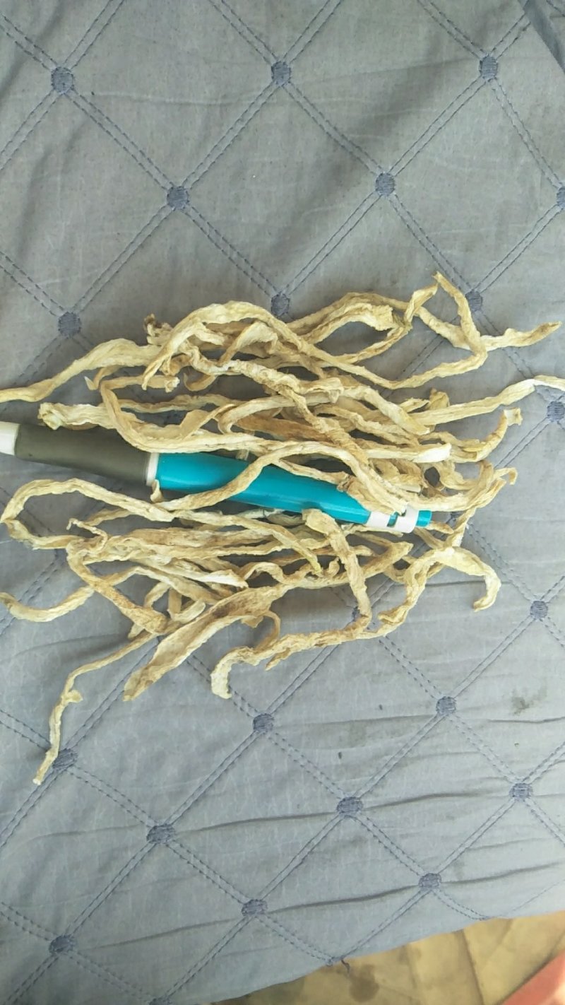 【有好货】河北白萝卜丝萝卜干白萝卜条，批发
