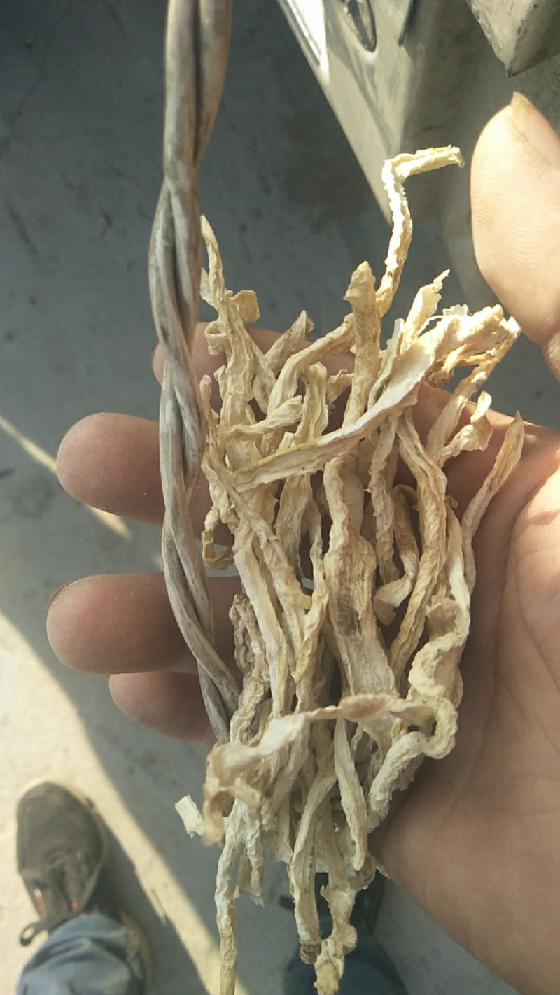 【有好货】河北白萝卜丝萝卜干白萝卜条，批发