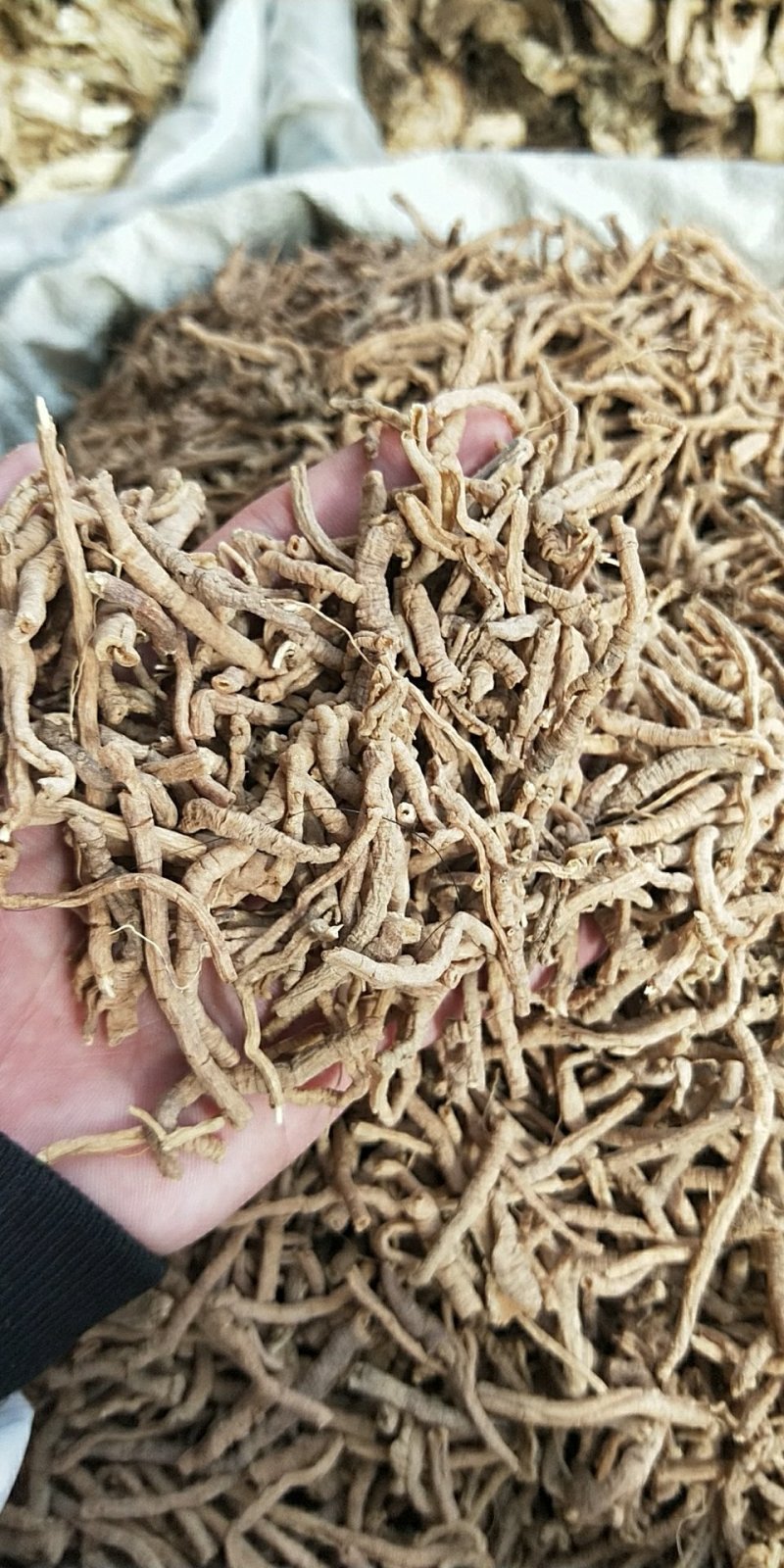 中药材抽芯率高远志远志肉新货无硫支持药检