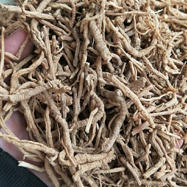 中药材抽芯率高远志远志肉新货无硫支持药检