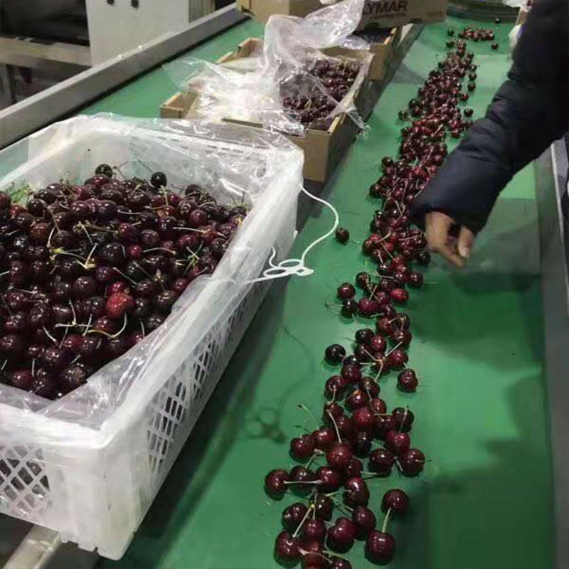 【顺丰空运包邮】车厘子钻石级车厘子空运新鲜美味无国度