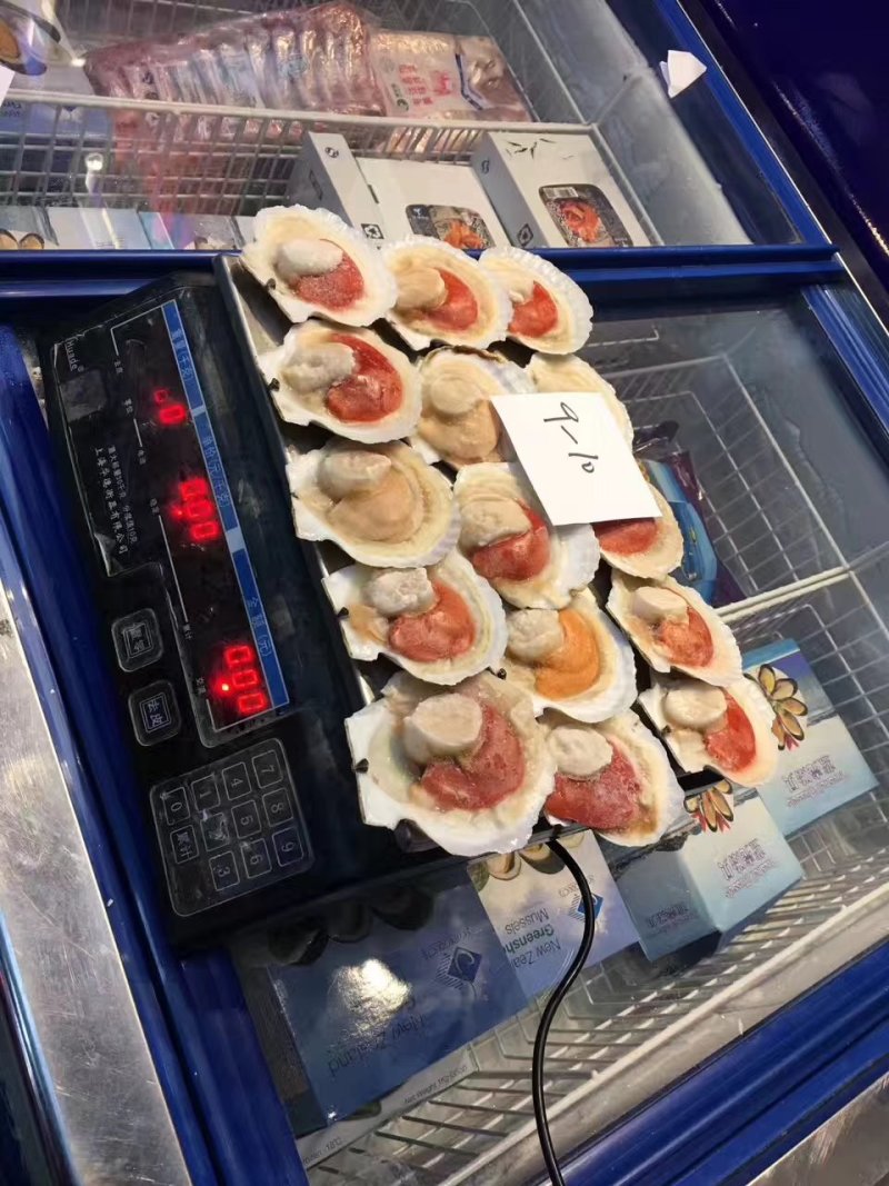 原壳扇贝，冷冻半壳扇贝，日本原装半壳吊笼贝