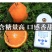 耙耙柑春见套袋果主产区果子仁寿县耙耙柑气温高
