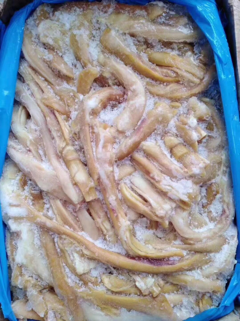 蹄筋