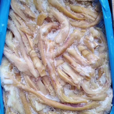 蹄筋
