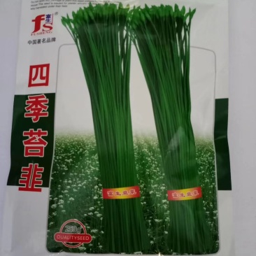 苔韭种子，四季苔韭，中华苔韭菜种子厂家直销欢迎咨询