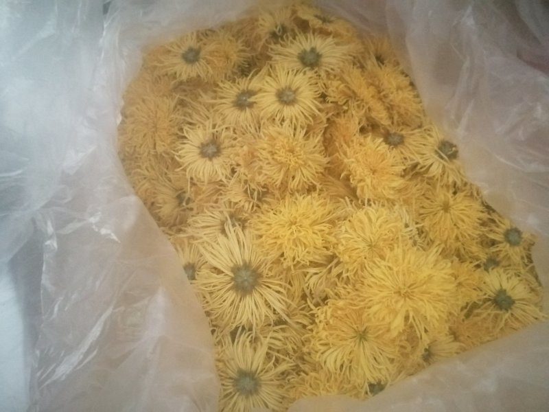 四大怀药怀菊珍品珍珠菊花茶