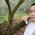 红梅