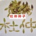 今年新采收的杜仲种子，纯新籽，货真价实，一级良种诚信商家