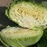 冬强甘蓝2~3公斤，保证质量OK，大量供应，新鲜蔬菜